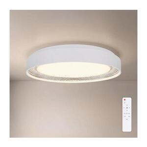 BRILAGI - LED stmievateľné stropné svietidlo WALDO LED/48W/230V priemer 40 cm biela/strieborná s diaľkovým ovládaním WO800-OEM48-40-WHT vyobraziť
