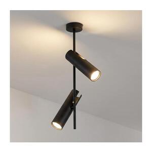 BRILAGI - Luster na tyči BRANCH 2xGU10/30W/230V čierna WO-N10-02-BLK-OEM vyobraziť