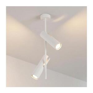 BRILAGI - Luster na tyči BRANCH 2xGU10/30W/230V biela WO-N10-02-WHT-OEM vyobraziť