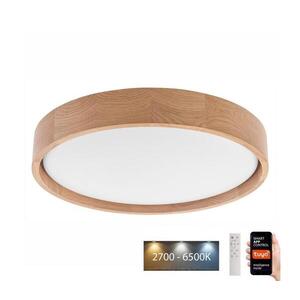 BRILAGI - LED stropné svietidlo MANAROLA SMART LED/24W/230V + DO Tuya vyobraziť