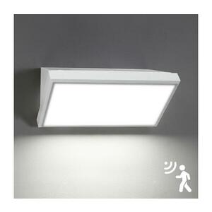 BRILAGI-LED Vonkajšie nástenné svietidlo s pohybovým senzorom TRIANGLE LED/20W/230V biele IP65 BRI198 vyobraziť