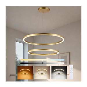 BRILAGI - stmievateľný LED závesný luster na lanku PORTOFINO LED/98W/230V pr. 80 cm zlatý +DO BRI514 vyobraziť