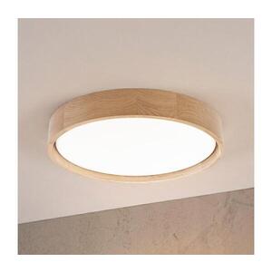 BRILAGI - LED stropné svietidlo MANAROLA PLAIN LED/24W/230V 4000K pr. 41 cm dub 8590828037750 vyobraziť