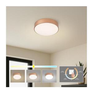 BRILAGI - LED stropné svietidlo POOL LED/24W/230V 3000/4000/6000K priemer 20 cm bronzové BRI1011 vyobraziť