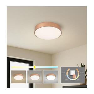 BRILAGI - LED stropné svietidlo POOL LED/36 W/230 V 3000/4000/6000 K, priemer 30 cm, bronzové BRI1015 vyobraziť