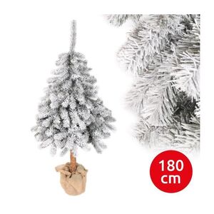Vianočný stromček PIN 180 cm jedľa SŚP 180 vyobraziť