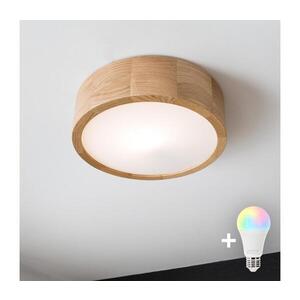 BRILAGI - LED RGBW stmievateľné stropné svietidlo CARVALHO 1xE27/12W/230V dub pr. 27, 5 BG0736+AI0819 vyobraziť