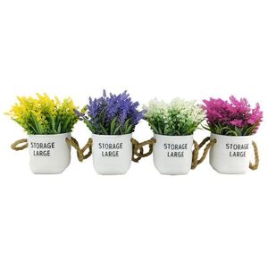 MAKRO - Sukulent 19cm vyobraziť