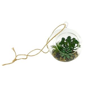 MAKRO - Sukulent v skle 15x17cm vyobraziť