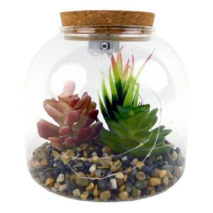 MAKRO - Sukulent v skle s LED, 15x15x15cm vyobraziť