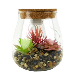 MAKRO - Sukulent v skle s LED, 8, 5x13x12cm vyobraziť