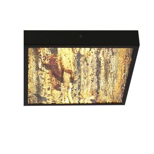 Stropné svietidlo LUXAN LED 28W Candellux vyobraziť