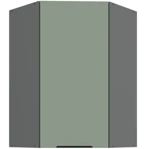 Kuchynská skrinka Aria-SA/ANT anti fingerprint 60X60 GN-90 1F (45°) vyobraziť