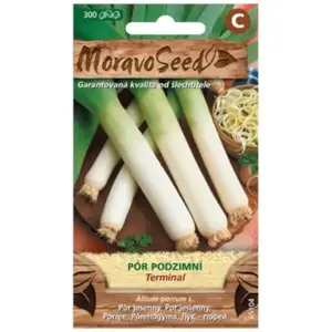 Pór jesenný Terminal vyobraziť