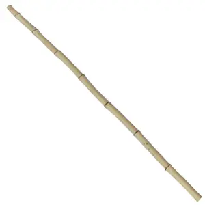 Bambusová tyč 150 cm Fi 3-4 cm vyobraziť