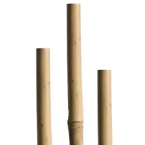 Bambusová tyč 90 cm 6/8 mm 7 ks 05607 vyobraziť