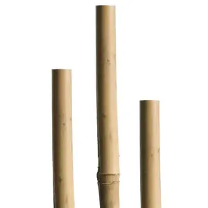 Bambusová tyč 150 cm 12/14 mm 05609 vyobraziť