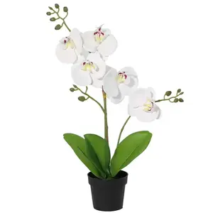 Umelá biela orchidea v kvetináči 40 cm vyobraziť