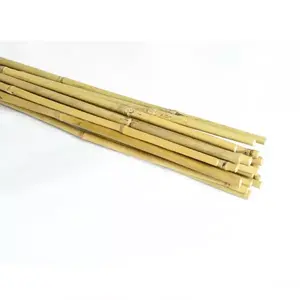Bambusová tyč 120 cm 08/10 mm 20 ks vyobraziť