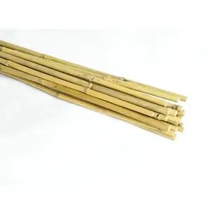 Bambusová tyč 150 cm 12/14 mm 20 ks vyobraziť