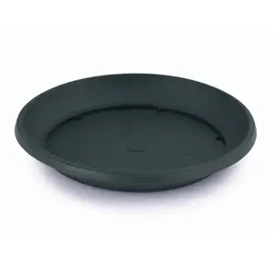 Podmiska Mediteran 45 50 Antracit Pa33045 vyobraziť