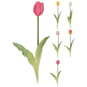 Mini tulipán 40CM 5ASS CLR vyobraziť