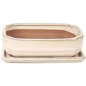 Kvetináč sklenená bonsai s podstavcom G144-10S WHZY krémová 27, 3x21 vyobraziť