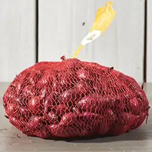 Cibuľa Romy Červená 300g vyobraziť