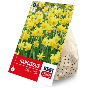 Narcis tete a tete 5ks vyobraziť