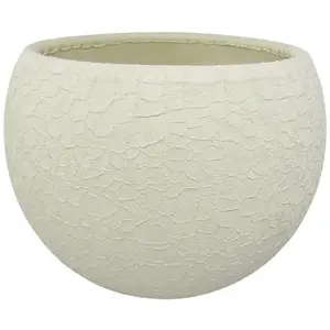 Obal guľa Lizard 17 cm krémová vyobraziť