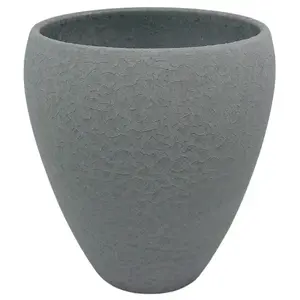 Obal orchidea Lizard 14 cm grafit vyobraziť