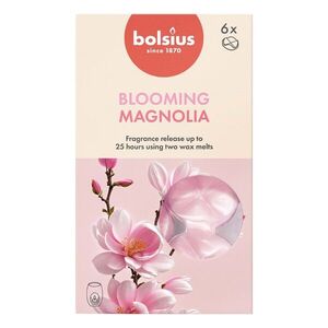 Bolsius VOSKY VONNÉ MAGNOLIE, SADA 6KS vyobraziť