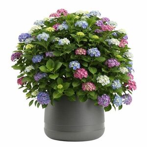 Kvetináč LUNA Vase 42 cm antracitový vyobraziť