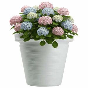 Plastový kvetináč Riflo 47, 9x55 cm biely vyobraziť