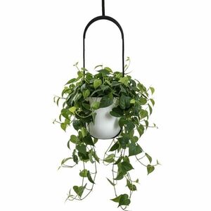 Závesný kvetináč AERA HANG 17, 9 cm biely vyobraziť
