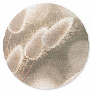 OnlyWow KOBERCE - Chvostoskok - Biely - Slnečné svetlo - 120x120 cm vyobraziť