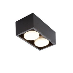 Nettlife LED stropné svietidlo Harmonie, 2 svetlá, 20x10x8 cm vyobraziť