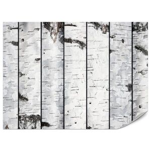 Muralo FOTOTAPETA Pre Spálňu Imitácia Brezovej Kôry Brezy Biela Strom 250 x 175 cm vyobraziť