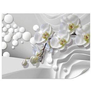 Muralo FOTOTAPETA Pre Kúpeľňu Geometrická Abstrakcia Biele Orchidey Kvety 400 x 280 cm vyobraziť
