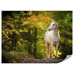 Muralo FOTOTAPETA Pre Spálňu Biely Kôň Les Stromy Rastliny 500 x 350 cm vyobraziť