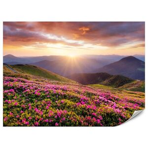 Muralo FOTOTAPETA Pre Obývačku Západ Slnka Hory Lúka Kvety 250 x 175 cm vyobraziť
