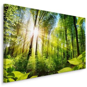 Muralo OBRAZ NA PLÁTNE Východ Slnka v Lese Príroda 3D 90 x 60 cm vyobraziť