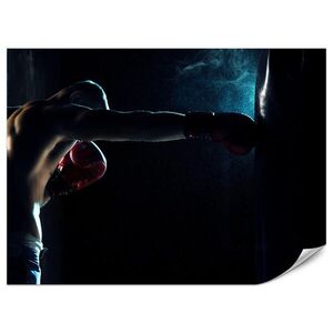 Muralo FOTOTAPETA Pre Študentskú Izbu Svalnatý Boxer Tréning Rukavice Akcia 300 x 210 cm vyobraziť