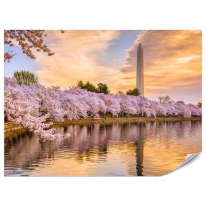Muralo FOTOTAPETA Kvitnúce Čerešne Rieka Príroda Jar Západ Slnka 250 x 175 cm vyobraziť