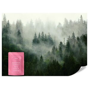 Muralo FOTOTAPETA Les v Hmlistom Príroda Krajina 3D 350 x 256 cm vyobraziť