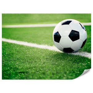Muralo FOTOTAPETA Pre Študentskú Izbu Futbal Zelený Trávnik Štadión Šport 300 x 210 cm vyobraziť