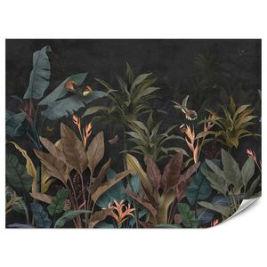 Muralo FOTOTAPETA Exotické Palmové Listy Tmavé Pozadie Hmyz Tropická 150 x 105 cm vyobraziť