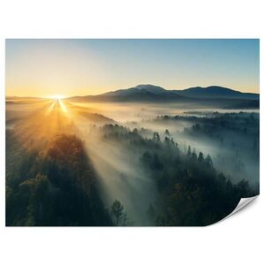 Muralo FOTOTAPETA Pre Obývaciu Izbu Východ Slnka Nad Hornatým Ihličnatým Lesom Zlato 300 x 210 cm vyobraziť