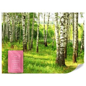 Muralo FOTOTAPETA Pre Jedáleň Brezový Les Stromy Príroda 3D 400 x 280 cm vyobraziť