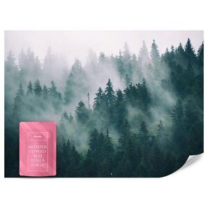 Muralo FOTOTAPETA Les v Hmlistom Krajina Príroda 3D 350 x 256 cm vyobraziť